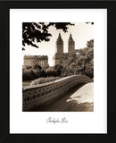 Central Park Bridges 1 (Framed) -  Chris Bliss - McGaw Graphics