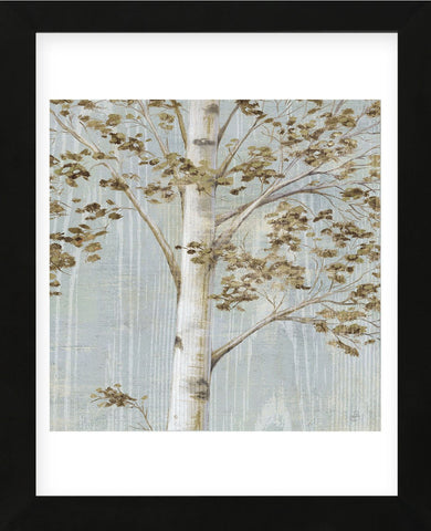 Birch Study II (Framed) -  Daphné B - McGaw Graphics