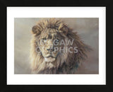 His Majesty  (Framed) -  Kalon Baughan - McGaw Graphics