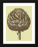 Artichoke 3 (Framed) -  Botanical Series - McGaw Graphics