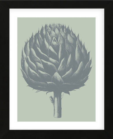 Artichoke 8 (Framed) -  Botanical Series - McGaw Graphics