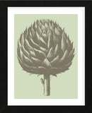 Artichoke 11 (Framed) -  Botanical Series - McGaw Graphics