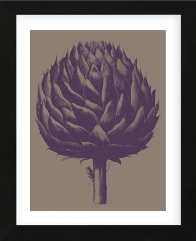 Artichoke 14 (Framed) -  Botanical Series - McGaw Graphics