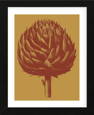Artichoke 15 (Framed) -  Botanical Series - McGaw Graphics