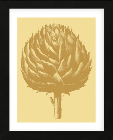 Artichoke 19 (Framed) -  Botanical Series - McGaw Graphics