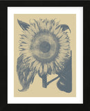 Sunflower 1 (Framed) -  Botanical Series - McGaw Graphics