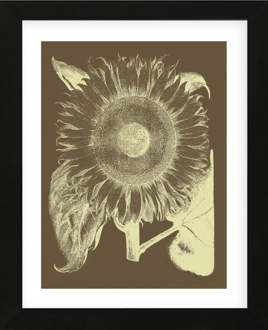 Sunflower 3 (Framed) -  Botanical Series - McGaw Graphics