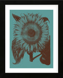 Sunflower 5 (Framed) -  Botanical Series - McGaw Graphics