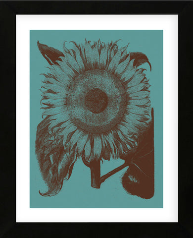Sunflower 5 (Framed) -  Botanical Series - McGaw Graphics