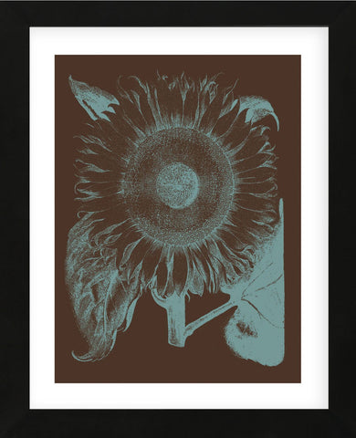 Sunflower 6 (Framed) -  Botanical Series - McGaw Graphics