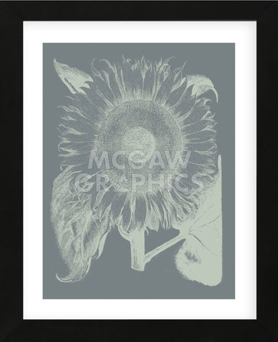 Sunflower 7 (Framed) -  Botanical Series - McGaw Graphics