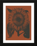 Sunflower 9 (Framed) -  Botanical Series - McGaw Graphics