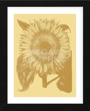 Sunflower 19 (Framed) -  Botanical Series - McGaw Graphics