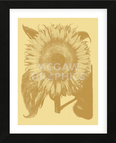 Sunflower 19 (Framed) -  Botanical Series - McGaw Graphics