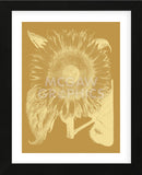 Sunflower 20 (Framed) -  Botanical Series - McGaw Graphics