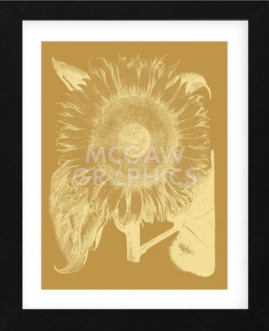 Sunflower 20 (Framed) -  Botanical Series - McGaw Graphics