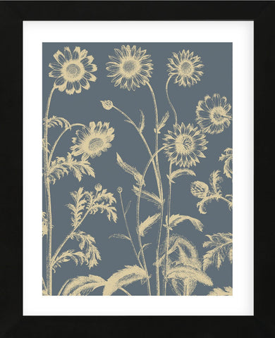 Chrysanthemum 2 (Framed) -  Botanical Series - McGaw Graphics