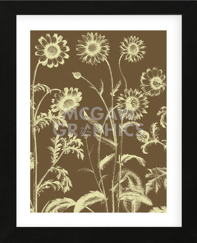 Chrysanthemum 3 (Framed) -  Botanical Series - McGaw Graphics