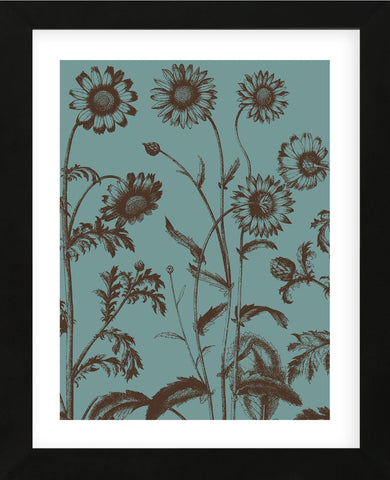Chrysanthemum 5 (Framed) -  Botanical Series - McGaw Graphics