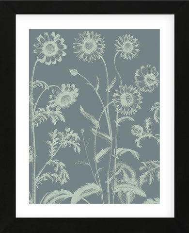 Chrysanthemum 7 (Framed) -  Botanical Series - McGaw Graphics