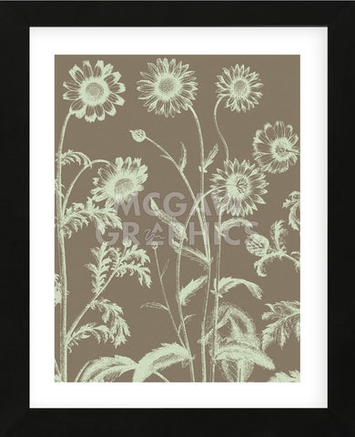 Chrysanthemum 12 (Framed) -  Botanical Series - McGaw Graphics