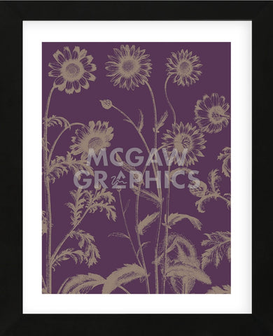 Chrysanthemum 13 (Framed) -  Botanical Series - McGaw Graphics