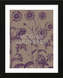 Chrysanthemum 14 (Framed) -  Botanical Series - McGaw Graphics