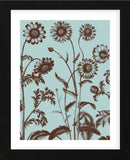 Chrysanthemum 18 (Framed) -  Botanical Series - McGaw Graphics