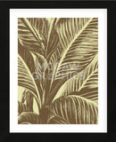 Leaf 4 (Framed) -  Botanical Series - McGaw Graphics