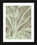 Leaf 12 (Framed) -  Botanical Series - McGaw Graphics