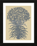 Lilies 1 (Framed) -  Botanical Series - McGaw Graphics
