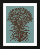 Lilies 5 (Framed) -  Botanical Series - McGaw Graphics