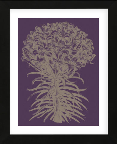 Lilies 13 (Framed) -  Botanical Series - McGaw Graphics