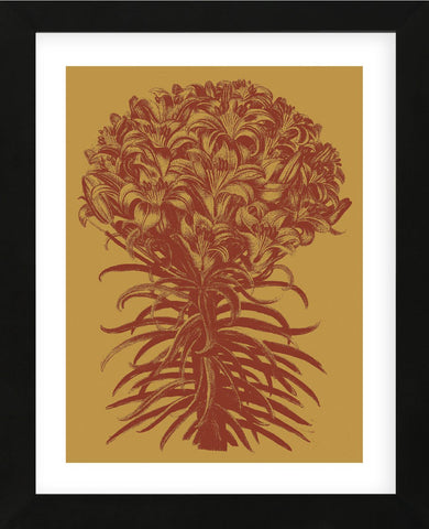 Lilies 15 (Framed) -  Botanical Series - McGaw Graphics
