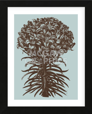 Lilies 18 (Framed) -  Botanical Series - McGaw Graphics