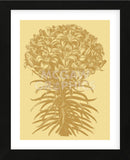 Lilies 19 (Framed) -  Botanical Series - McGaw Graphics