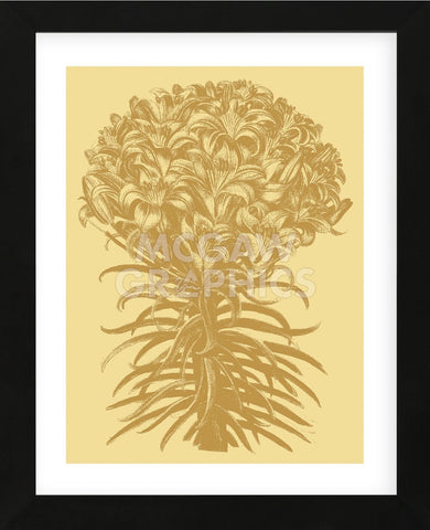 Lilies 19 (Framed) -  Botanical Series - McGaw Graphics
