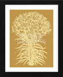 Lilies 20 (Framed) -  Botanical Series - McGaw Graphics