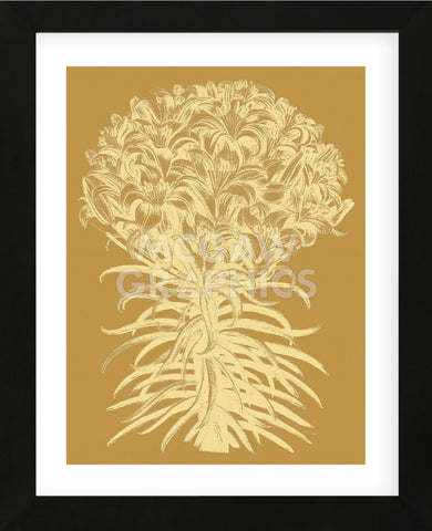 Lilies 20 (Framed) -  Botanical Series - McGaw Graphics