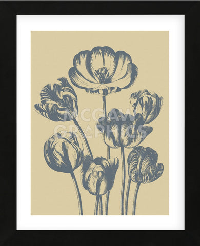 Tulip 1 (Framed) -  Botanical Series - McGaw Graphics