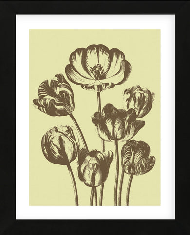 Tulip 3 (Framed) -  Botanical Series - McGaw Graphics