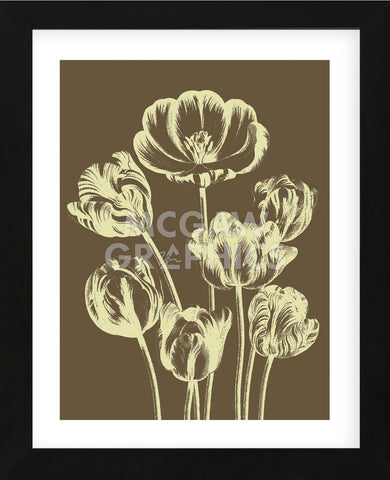 Tulip 4 (Framed) -  Botanical Series - McGaw Graphics