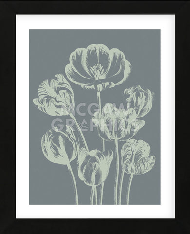 Tulip 7 (Framed) -  Botanical Series - McGaw Graphics