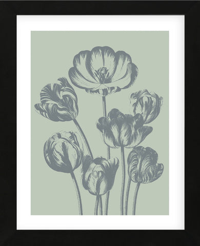 Tulip 8 (Framed) -  Botanical Series - McGaw Graphics