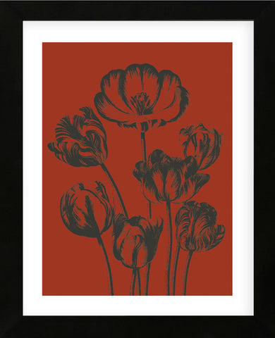 Tulip 9 (Framed) -  Botanical Series - McGaw Graphics