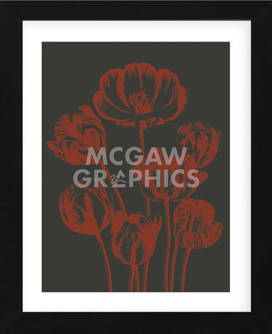 Tulip 10 (Framed) -  Botanical Series - McGaw Graphics