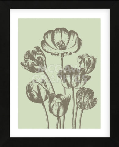 Tulip 11 (Framed) -  Botanical Series - McGaw Graphics