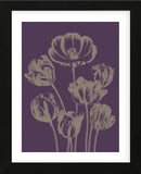 Tulip 13 (Framed) -  Botanical Series - McGaw Graphics