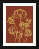 Tulip 16 (Framed) -  Botanical Series - McGaw Graphics