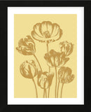 Tulip 19 (Framed) -  Botanical Series - McGaw Graphics